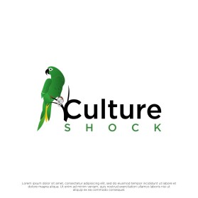 CULTURE SHOCK  entry by yaya