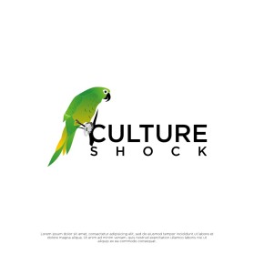CULTURE SHOCK  entry by yaya