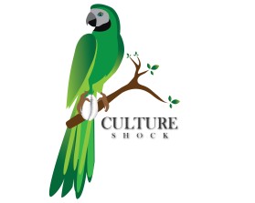 CULTURE SHOCK  entry by entrocreation