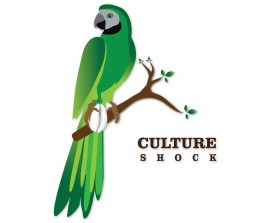 CULTURE SHOCK  entry by entrocreation