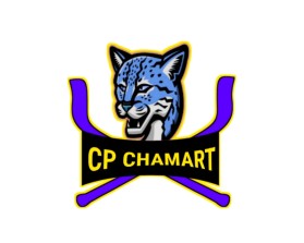CP Chamart entry by PR CREATIONS