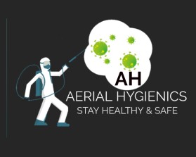 Aerial Hygienics entry by AniDesigns