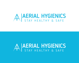 Aerial Hygienics entry by Mokeshk
