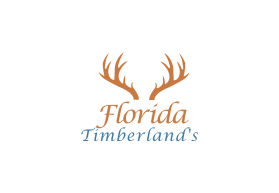 Florida Timberland's entry by rajh man