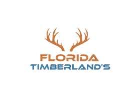 Florida Timberland's entry by rajh man
