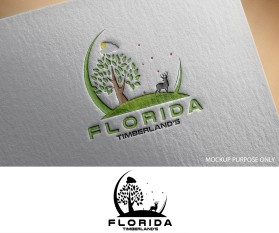 Florida Timberland's entry by sanaullah