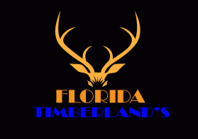 Florida Timberland's entry by Ekki Prayitno