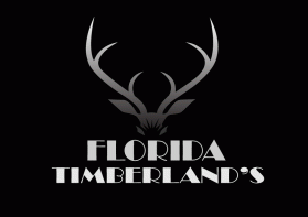 Florida Timberland's entry by Ekki Prayitno