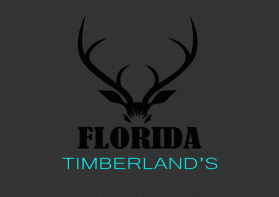 Florida Timberland's entry by Ekki Prayitno