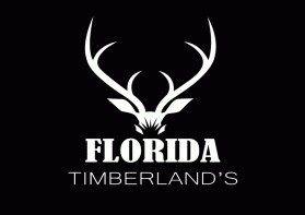 Florida Timberland's entry by Ekki Prayitno