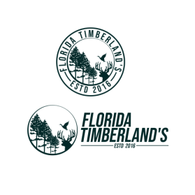 Florida Timberland's entry by balsh