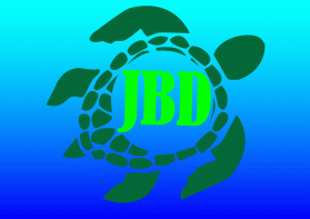 JBD entry by Ekki2019i