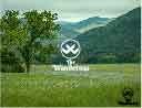 THE WANDEROSA entry by Deven G