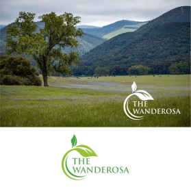 THE WANDEROSA entry by jhon conor