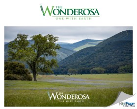 THE WANDEROSA entry by webpagesol