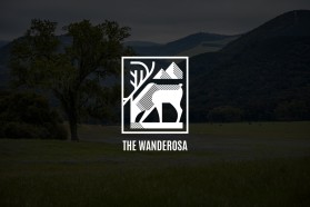 THE WANDEROSA entry by saima4583
