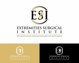 Extremities Surgical Institute entry by binbin design