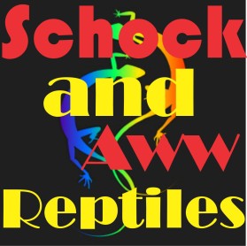 Schock and Aww Reptiles entry by jahck