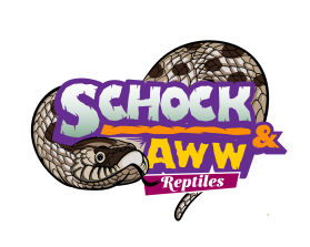 Schock and Aww Reptiles entry by D'creator