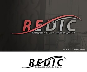 REDIC entry by 007sunny007