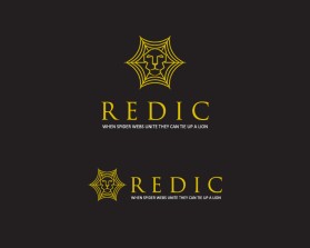 REDIC entry by agustinus haryono