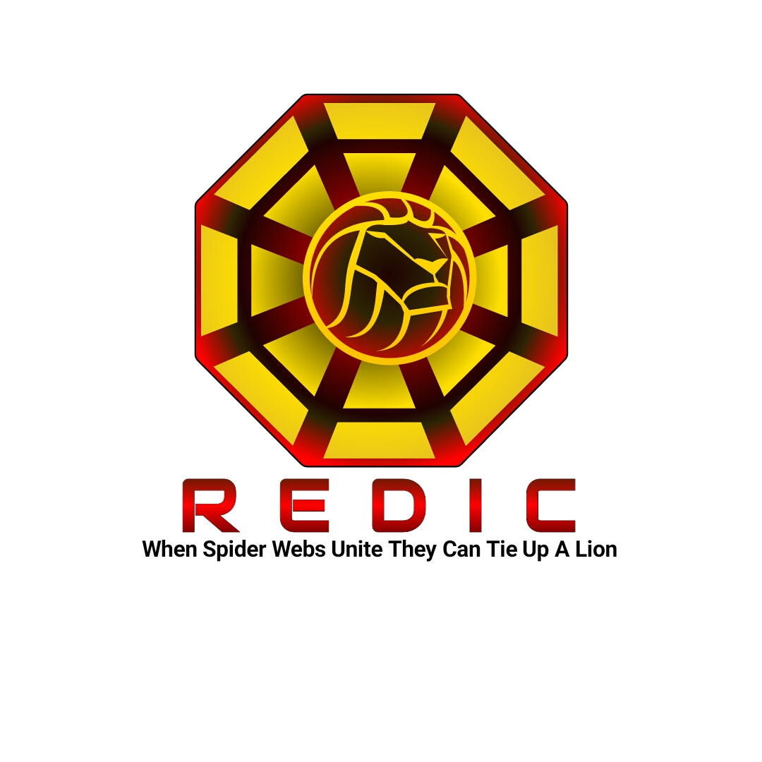 Logo Design for REDIC