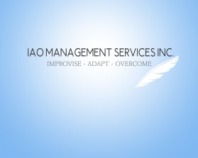 IAO Management Services INC  entry by Melissa Elisabeth Pieternella Vaders