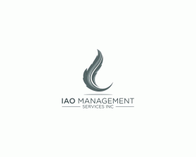 IAO Management Services INC  entry by adyarizki