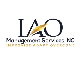 IAO Management Services INC  entry by Hasibul islam