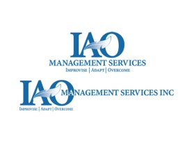 IAO Management Services INC  entry by Rodney Hallenberg