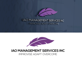IAO Management Services INC  entry by abdus salam