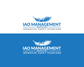 IAO Management Services INC  entry by balsh