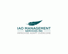 IAO Management Services INC  entry by adyarizki