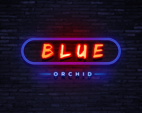 Blue Orchid   entry by rohmadhani