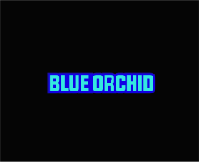 Blue Orchid   entry by robertdc