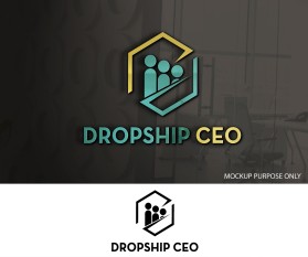 Dropship CEO entry by 007sunny007