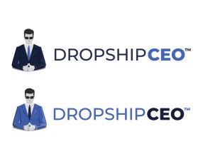 Dropship CEO entry by rachoud
