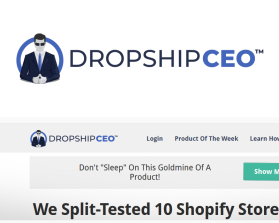 Dropship CEO entry by rachoud