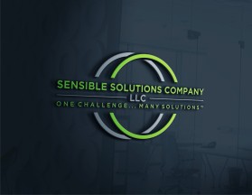 Sensible Solutions Company LLC entry by sarkun
