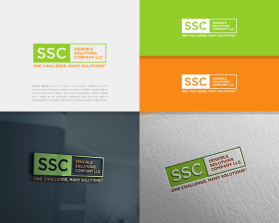 Sensible Solutions Company LLC entry by alley
