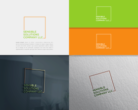 Sensible Solutions Company LLC entry by alley