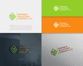 Sensible Solutions Company LLC entry by alley
