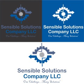 Sensible Solutions Company LLC entry by jahck