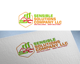 Sensible Solutions Company LLC entry by balsh