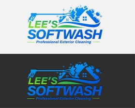Lee&rsquo;s Softwash entry by graphite
