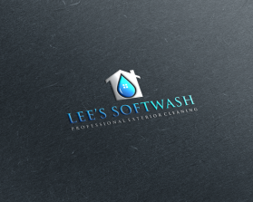 Lee&rsquo;s Softwash entry by rohmadhani