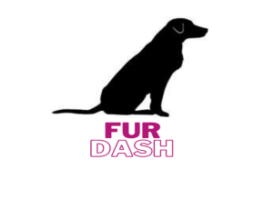 FurDash entry by sakinyas