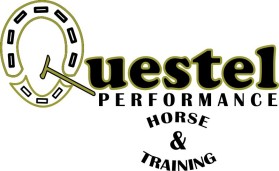 Questel Performance Horses &amp; Training entry by FirstDawn