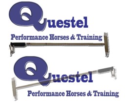 Questel Performance Horses &amp; Training entry by Cheraena