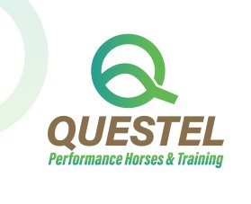 Questel Performance Horses &amp; Training entry by Shark Attack